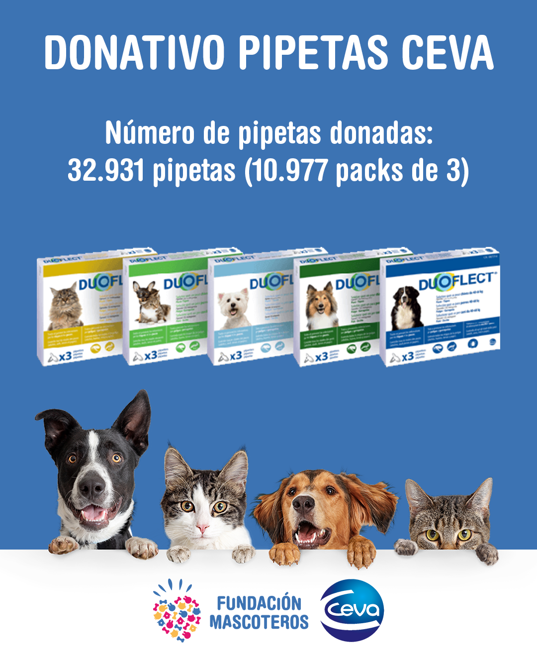 33.000 perros y gatos en situación de abandono serán desparasitados gracias al donativo de un laboratorio